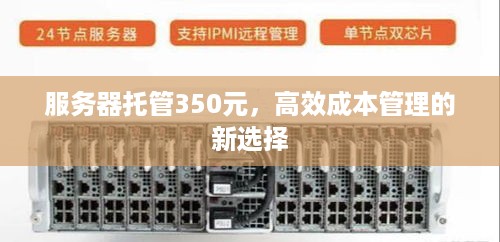 服务器托管350元，高效成本管理的新选择