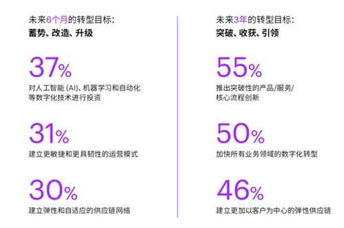 重庆热点服务器托管服务——企业数字化转型的加速器