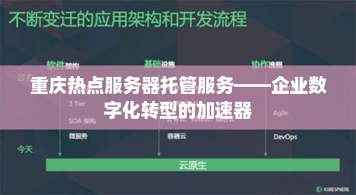 重庆热点服务器托管服务——企业数字化转型的加速器