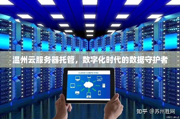 温州云服务器托管，数字化时代的数据守护者