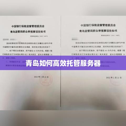 青岛如何高效托管服务器