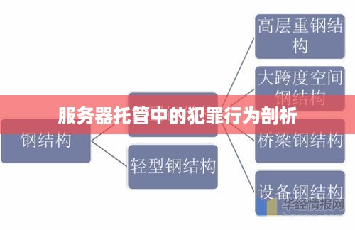 服务器托管中的犯罪行为剖析