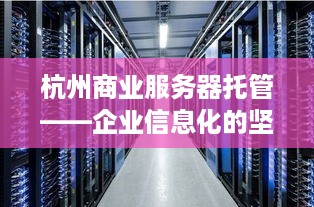 杭州商业服务器托管——企业信息化的坚实后盾