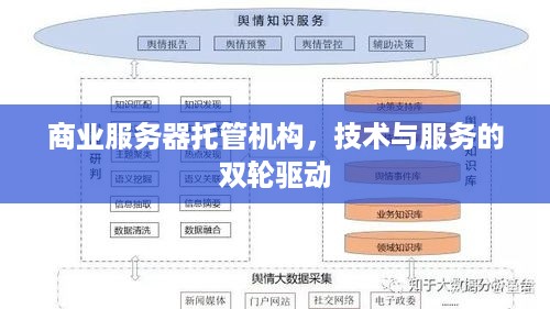 商业服务器托管机构，技术与服务的双轮驱动