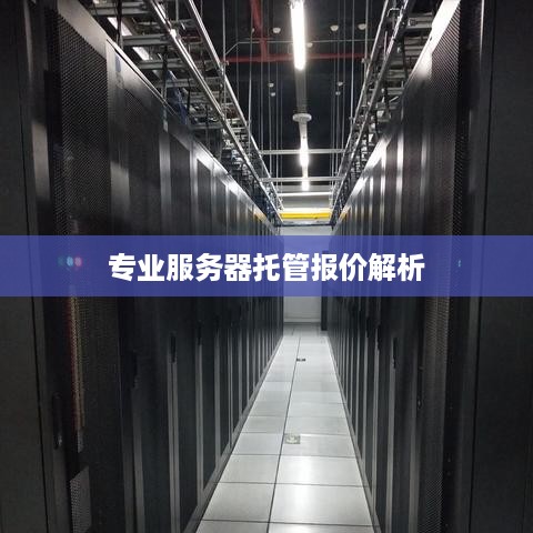 专业服务器托管报价解析