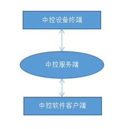 哈尔滨服务器托管费用解析，成本、选择与未来展望