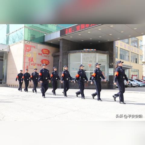 守护数据之盾，app服务器托管与维护的艺术