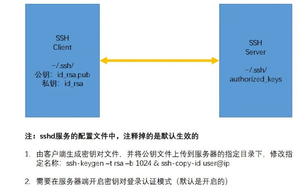 杭州FTP服务器托管服务概览