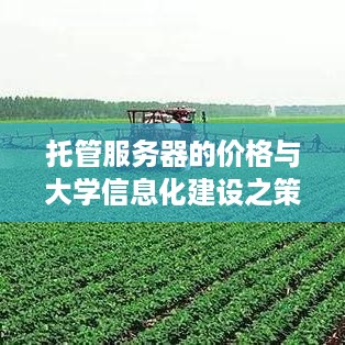 托管服务器的价格与大学信息化建设之策略