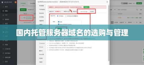 国内托管服务器域名的选购与管理