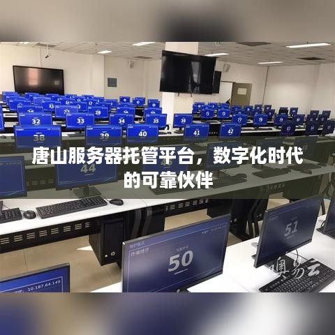 唐山服务器托管平台，数字化时代的可靠伙伴