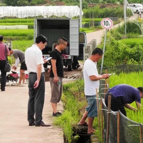 服务器网络托管费的解析