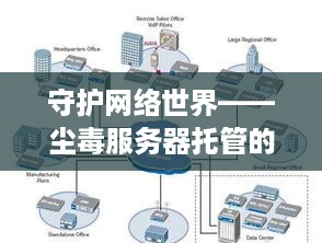 守护网络世界——尘毒服务器托管的重要性