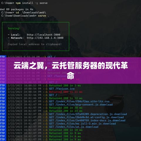 云端之翼，云托管服务器的现代革命