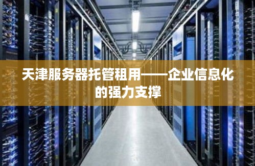 天津服务器托管租用——企业信息化的强力支撑