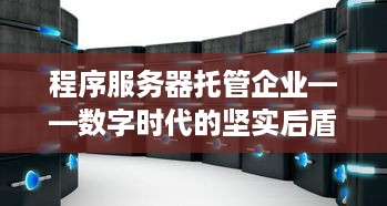 程序服务器托管企业——数字时代的坚实后盾