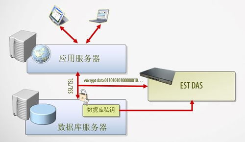 河南许昌服务器托管，为企业数据安全加码