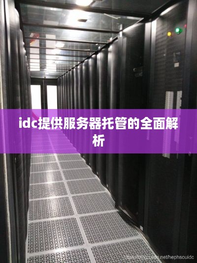 idc提供服务器托管的全面解析