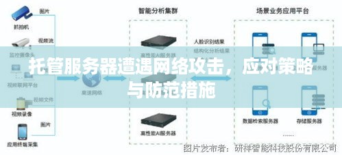 托管服务器遭遇网络攻击，应对策略与防范措施