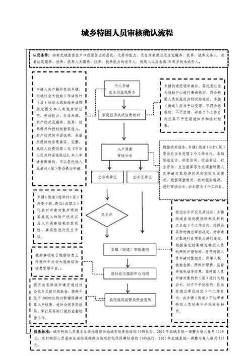 政府服务器托管申请，确保信息安全与效能的关键步骤