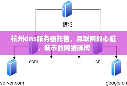 杭州dns服务器托管，互联网的心脏，城市的网络脉搏