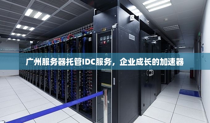 广州服务器托管IDC服务，企业成长的加速器