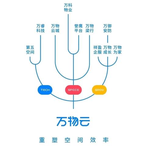 中山存储服务器托管，企业数字化转型的关键