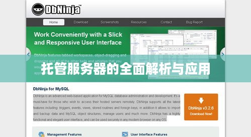 托管服务器的全面解析与应用