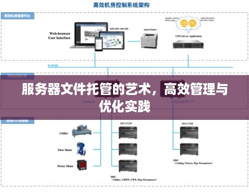 服务器文件托管的艺术，高效管理与优化实践