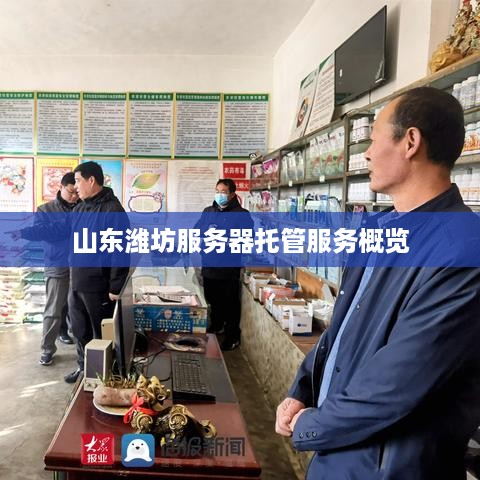 山东潍坊服务器托管服务概览