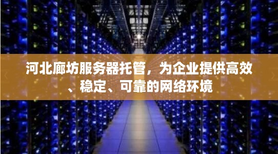 河北廊坊服务器托管，为企业提供高效、稳定、可靠的网络环境