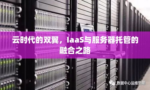 云时代的双翼，IaaS与服务器托管的融合之路