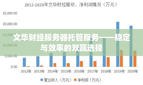 文华财经服务器托管服务——稳定与效率的双赢选择