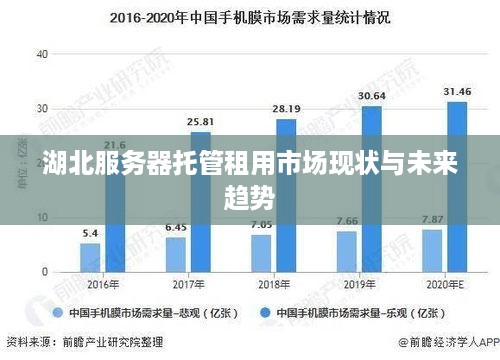 湖北服务器托管租用市场现状与未来趋势