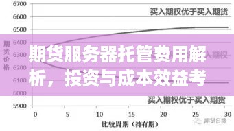 期货服务器托管费用解析，投资与成本效益考量