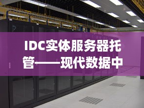 IDC实体服务器托管——现代数据中心的可靠之选