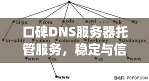 口碑DNS服务器托管服务，稳定与信赖的桥梁