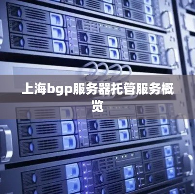 上海bgp服务器托管服务概览