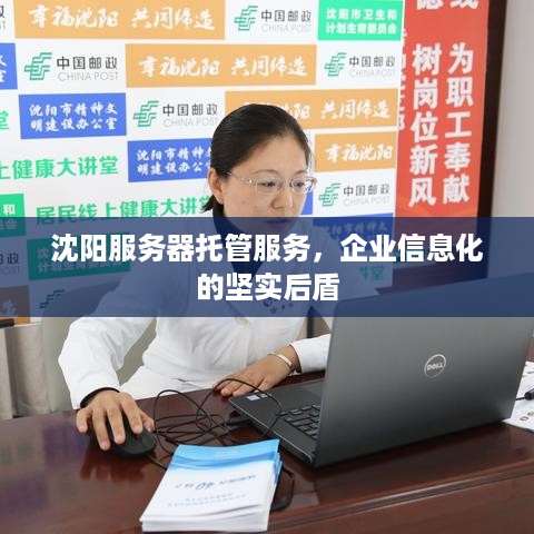 沈阳服务器托管服务，企业信息化的坚实后盾