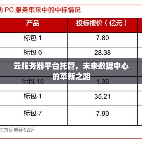 云服务器平台托管，未来数据中心的革新之路