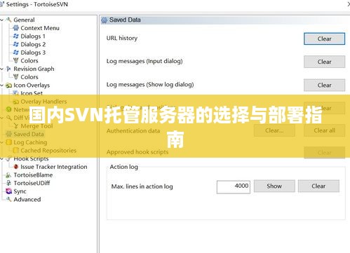 国内SVN托管服务器的选择与部署指南