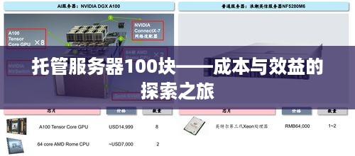 托管服务器100块——成本与效益的探索之旅