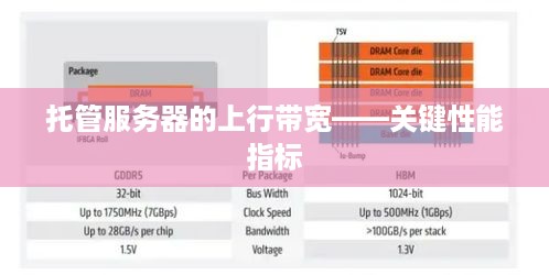 托管服务器的上行带宽——关键性能指标