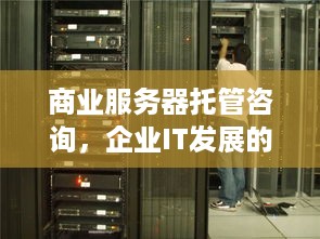 商业服务器托管咨询，企业IT发展的新动力