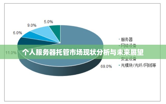个人服务器托管市场现状分析与未来展望