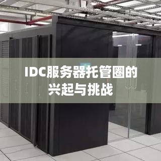 IDC服务器托管圈的兴起与挑战