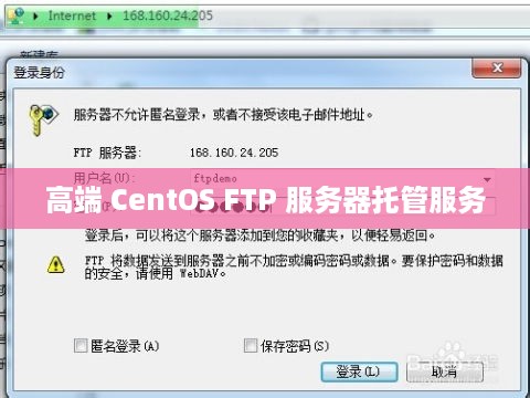 高端 CentOS FTP 服务器托管服务