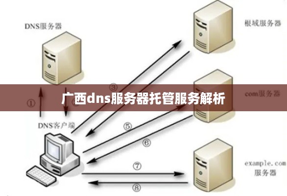 广西dns服务器托管服务解析