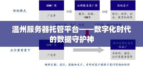 温州服务器托管平台——数字化时代的数据守护神