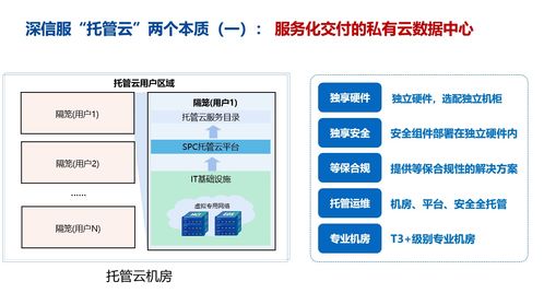 温州服务器托管平台——数字化时代的数据守护神